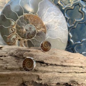 Ammonite Round Studs